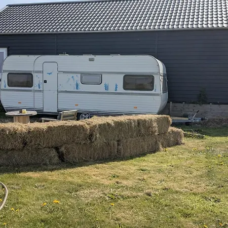 אתר קמפינג Gerestylde Vintage Caravan 